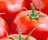Tomato (Outside)